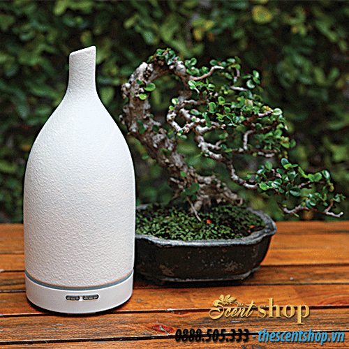 [Image: May-khuech-tan-tinh-dau-ceramic-trang-06(2).png]